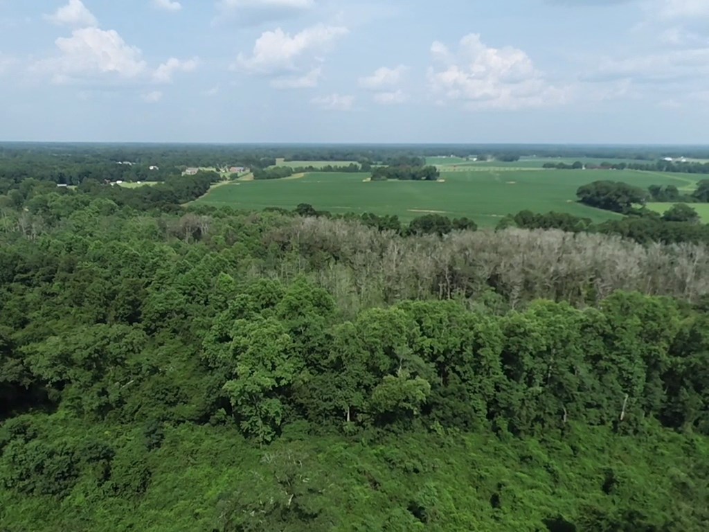 132.3-ac Green Road Dothan, AL 36303 - Photo 15 of 63