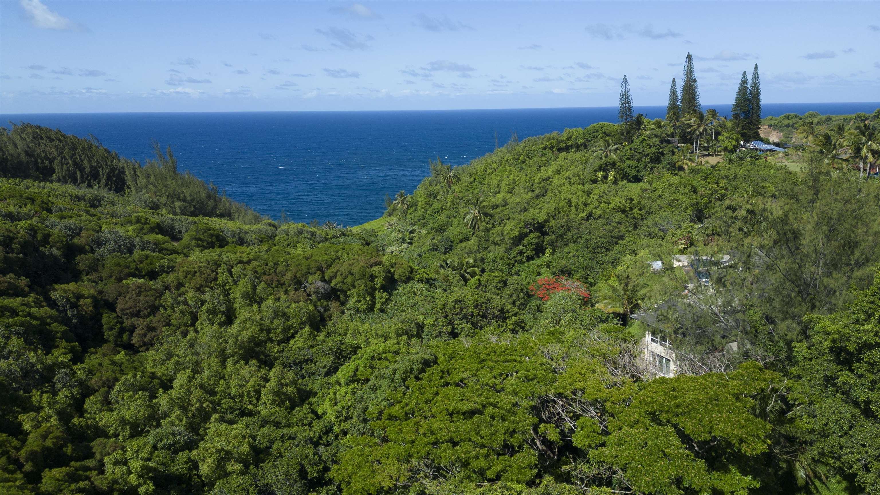 675 Kulike Road Haiku, HI 96708 - Photo 27 of 41