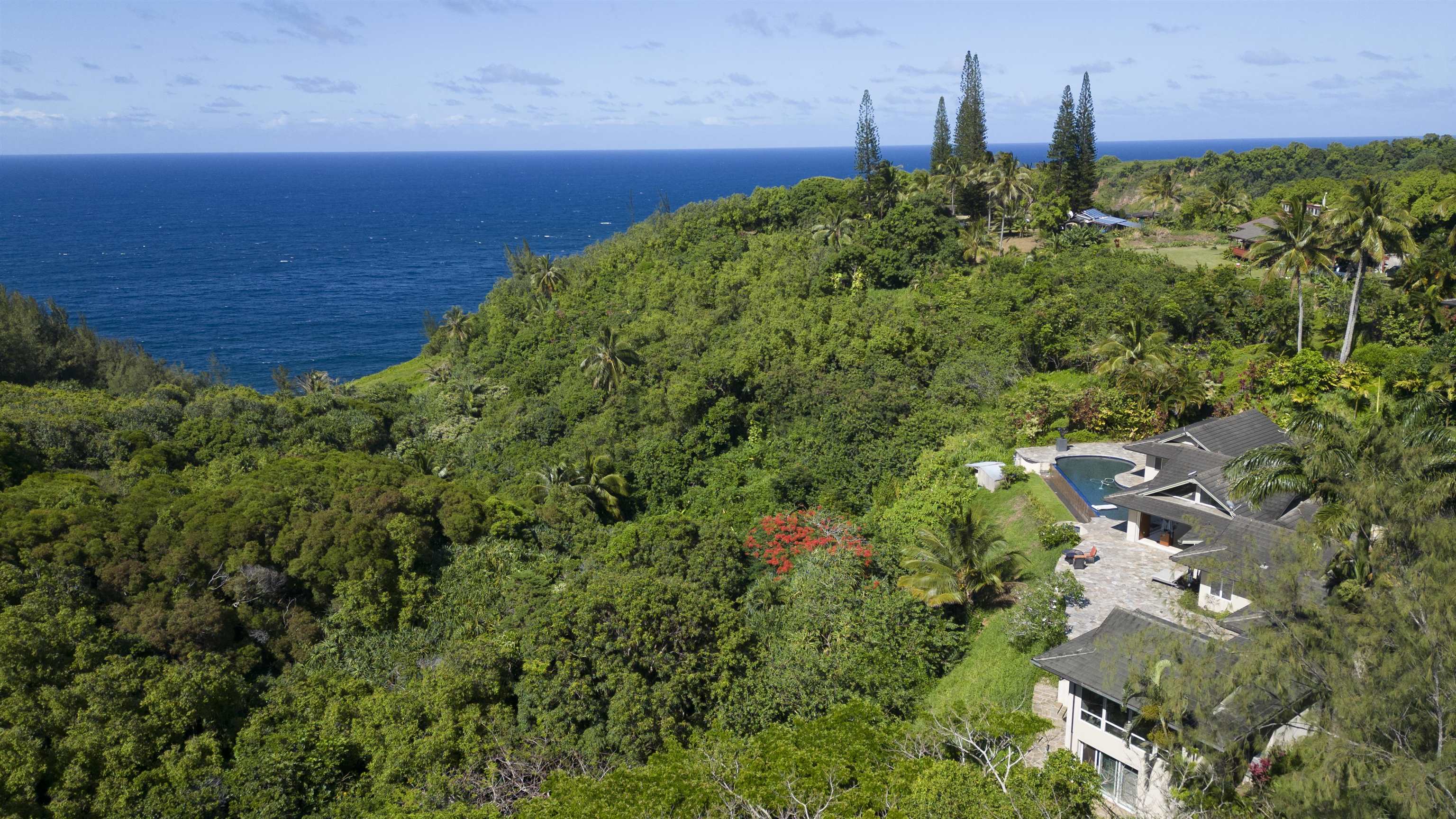 675 Kulike Road Haiku, HI 96708 - Photo 28 of 41