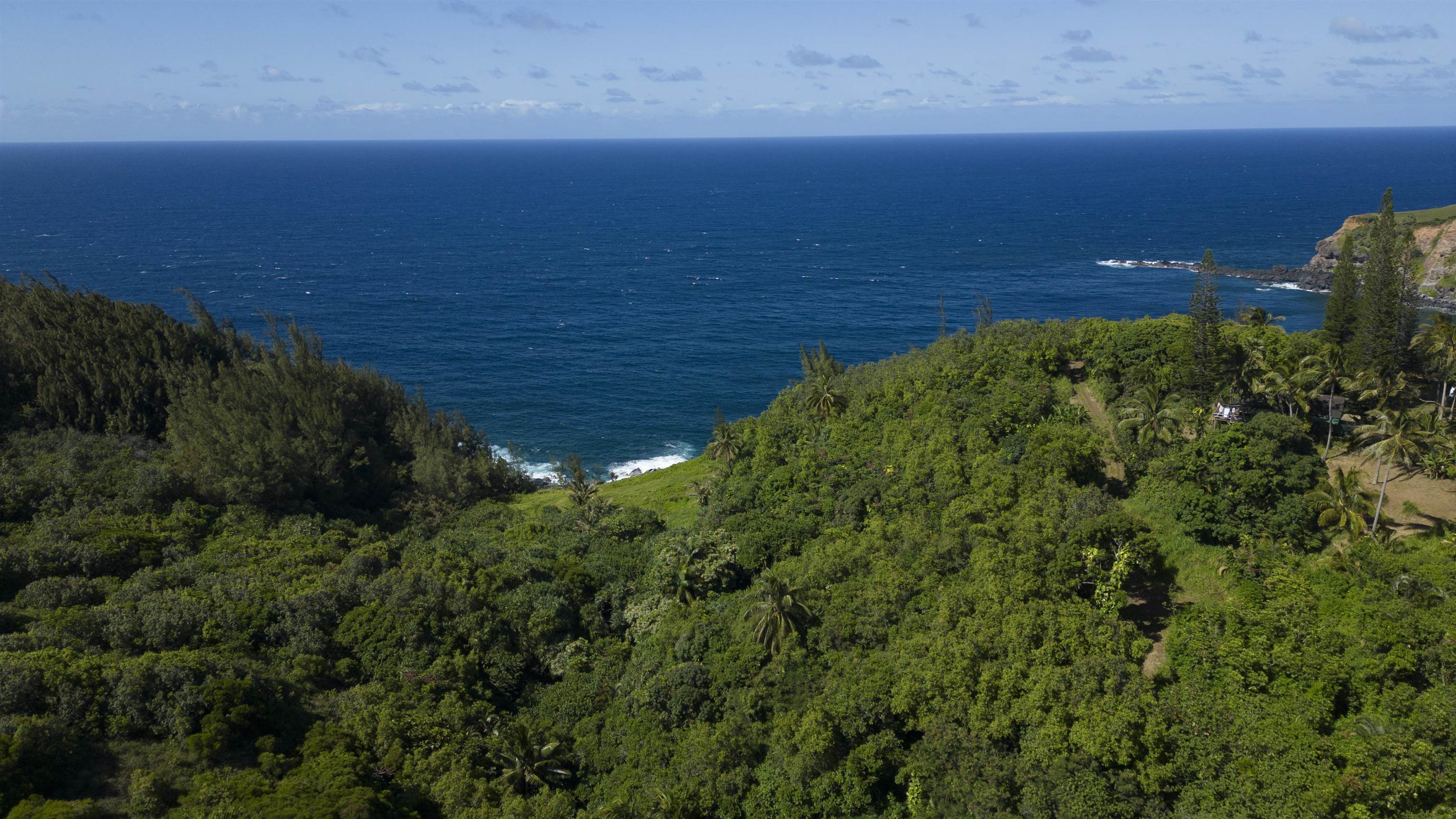 675 Kulike Road Haiku, HI 96708 - Photo 34 of 41