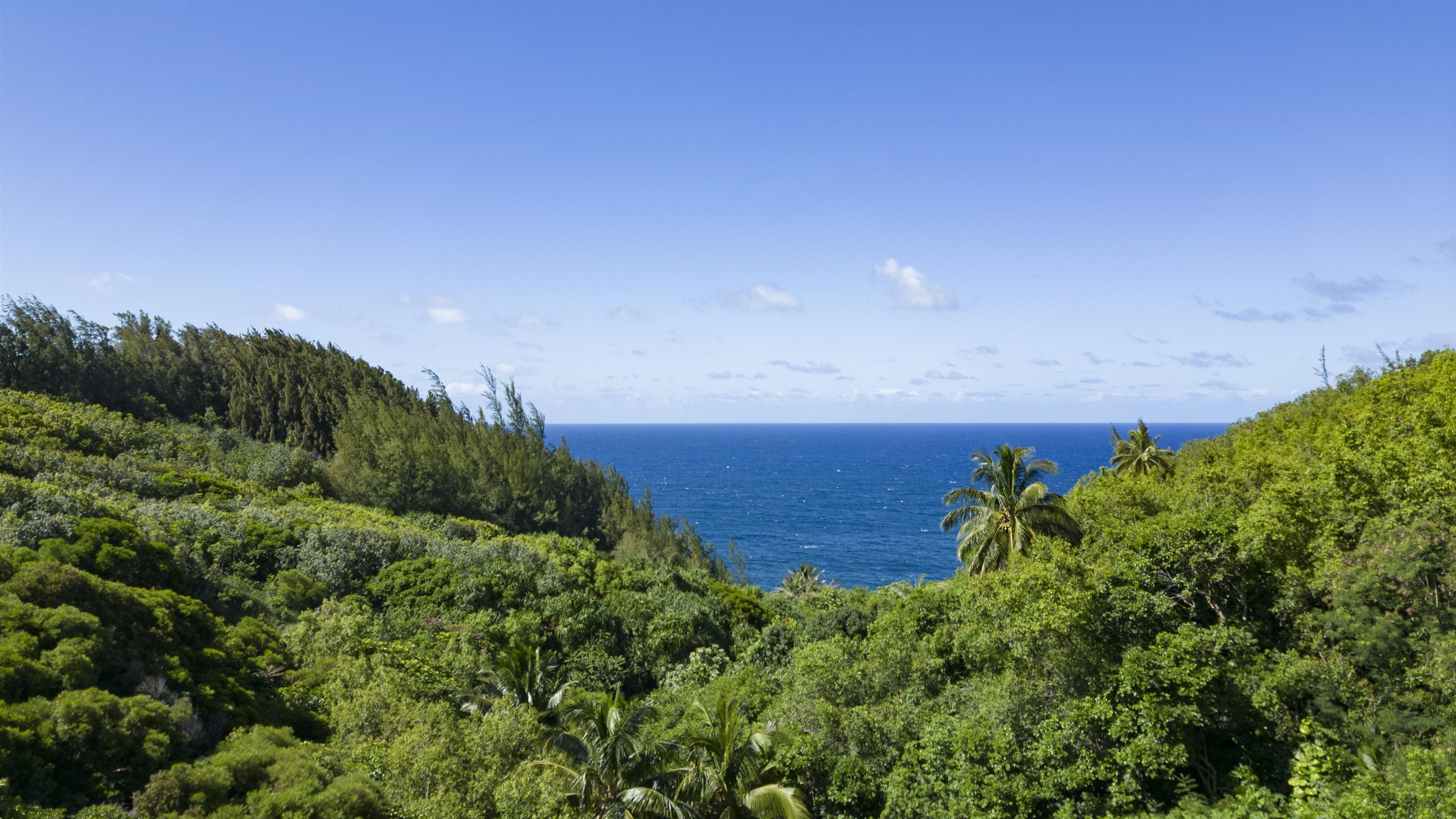 675 Kulike Road Haiku, HI 96708 - Photo 6 of 41