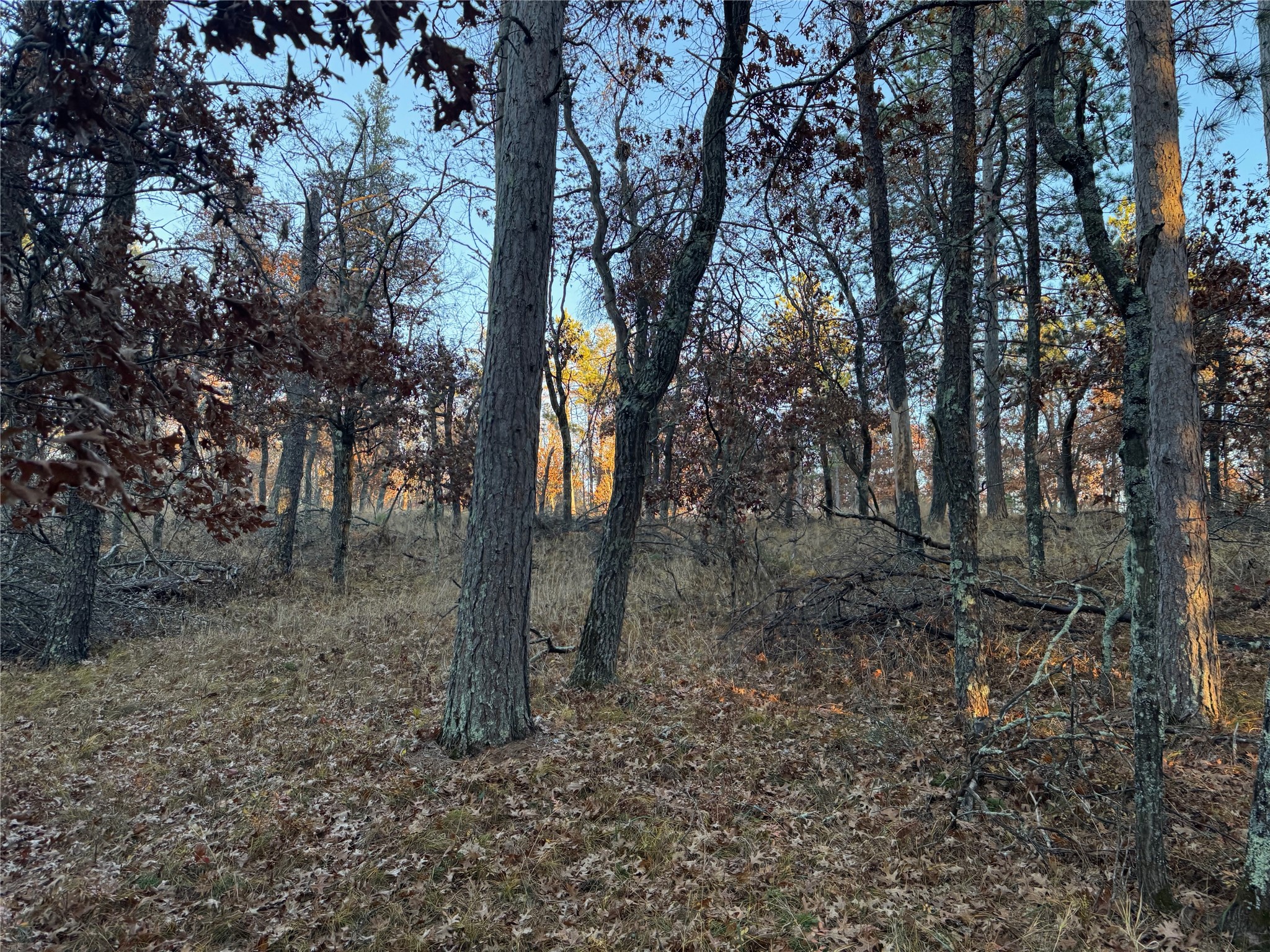 Lot 5 Big Sand Road Minong, WI 54859 - Photo 26 of 30