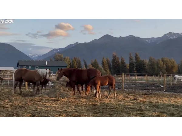 a view of a porch with a door and wooden floor