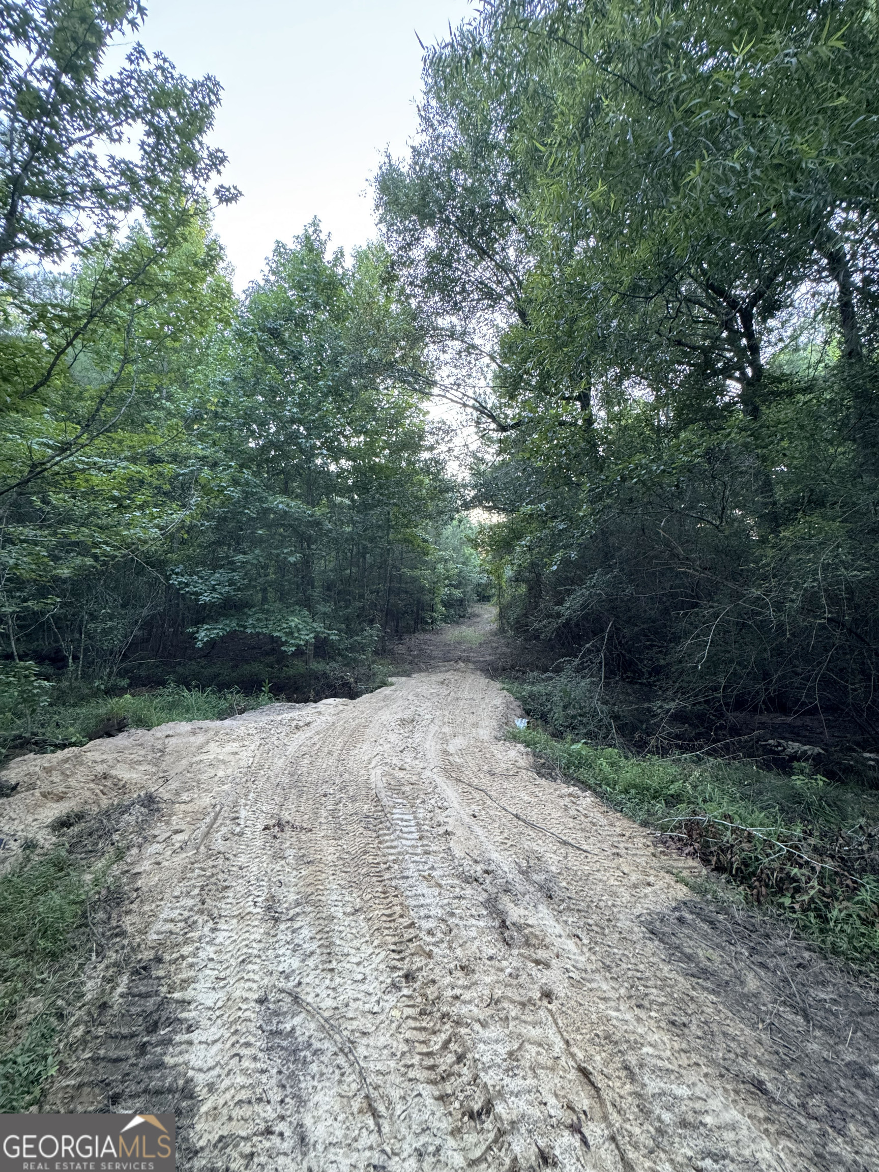 Tbd Tbd Wooten Road Cuthbert, GA 39840 - Photo 47 of 71