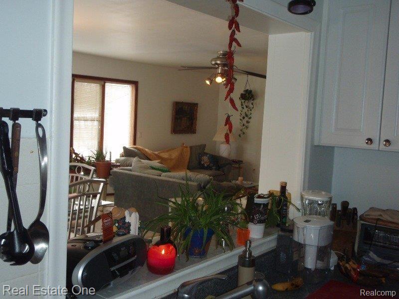 669 Romeo Road Rochester, MI 48307 - Photo 6 of 20 Kitchen Pass thru