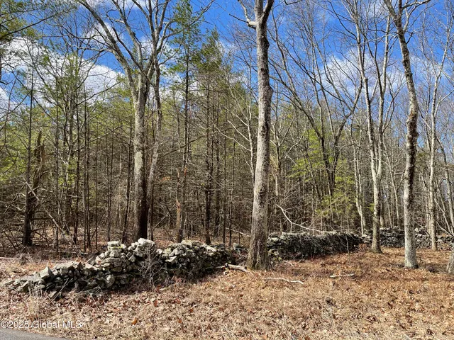 $89,000 | L18.2 Old Kings Road, Hannacroix, NY 12087