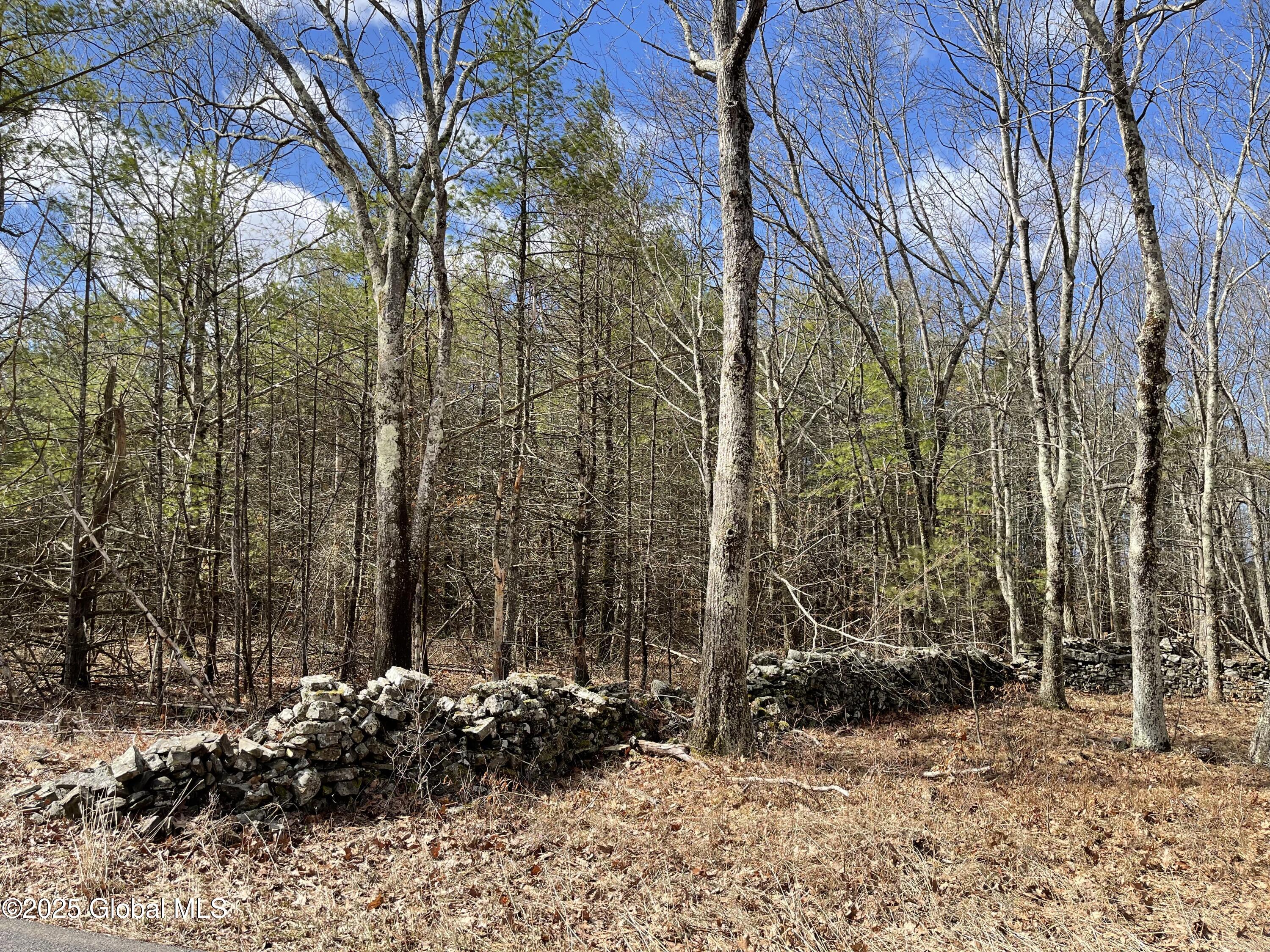 L18.2 Old Kings Road Hannacroix, NY 12087 - Photo 2 of 11 58D09F4A-66F9-449E-841E-955BE1380005