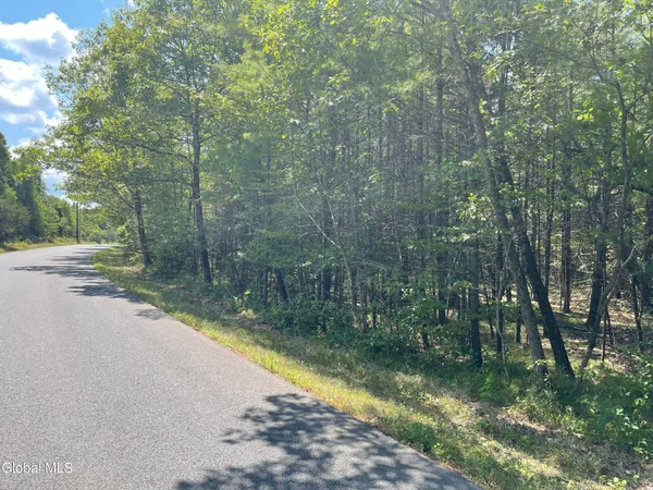 $89,000 | L18.2 Old Kings Road, Hannacroix, NY 12087