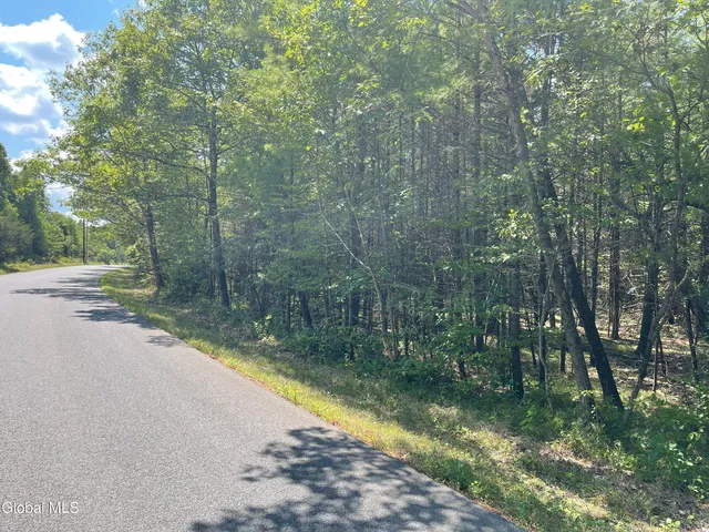 $89,000 | L18.2 Old Kings Road, Hannacroix, NY 12087