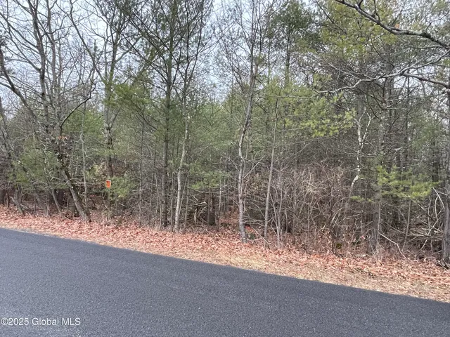 $89,000 | L18.2 Old Kings Road, Hannacroix, NY 12087