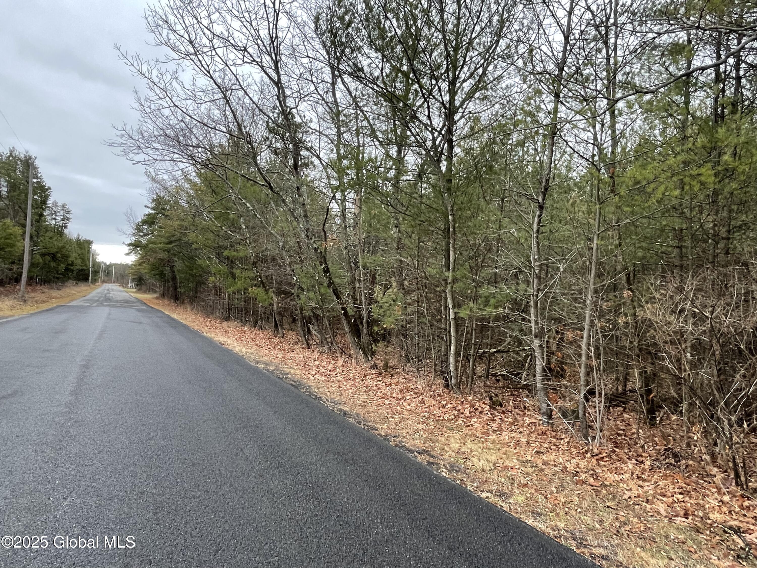 L18.2 Old Kings Road Hannacroix, NY 12087 - Photo 7 of 11 8FC8A70E-3A5C-4F36-908E-E2F10CF28697