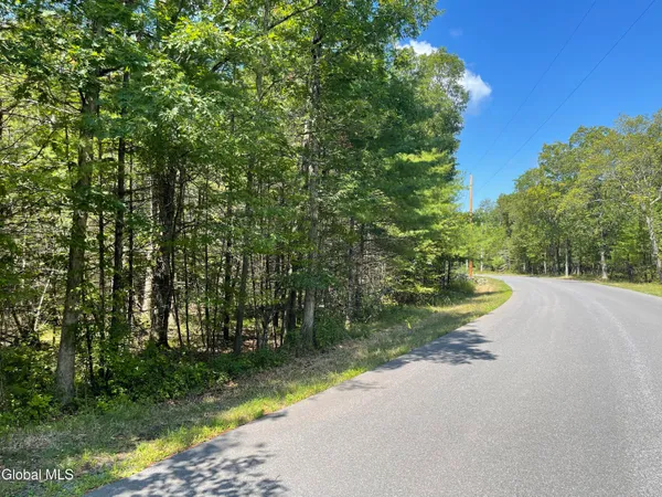 $89,000 | L18.2 Old Kings Road, Hannacroix, NY 12087