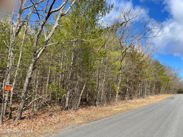 $89,000 | L18.2 Old Kings Road, Hannacroix, NY 12087