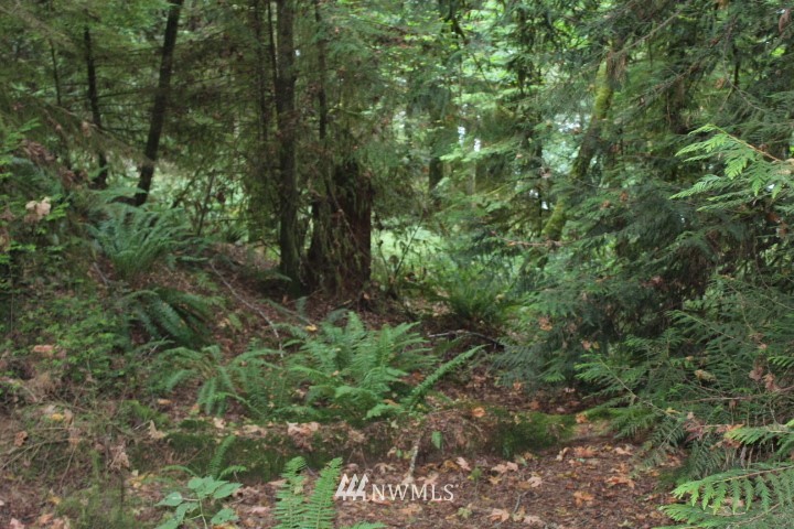 2 Northeast Capstan Rock Road Tahuya, WA 98588 - Photo 2 of 4 Gallery Image 2