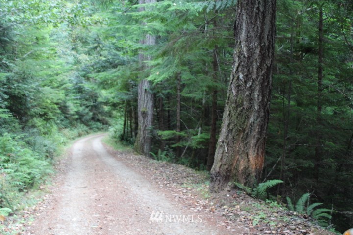 2 Northeast Capstan Rock Road Tahuya, WA 98588 - Photo 3 of 4 Gallery Image 3