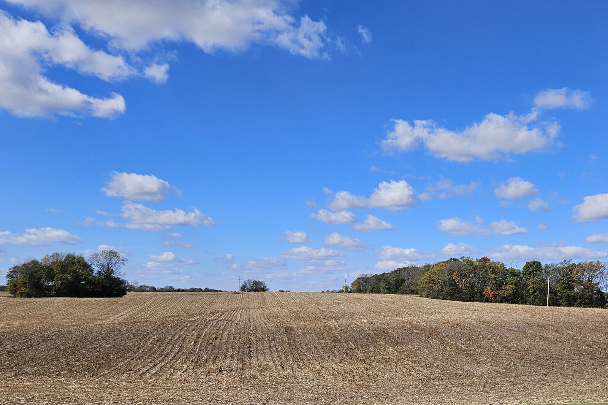 2400 Sportsman Lake Road Franklin, KY 42134 - Photo 9 of 11