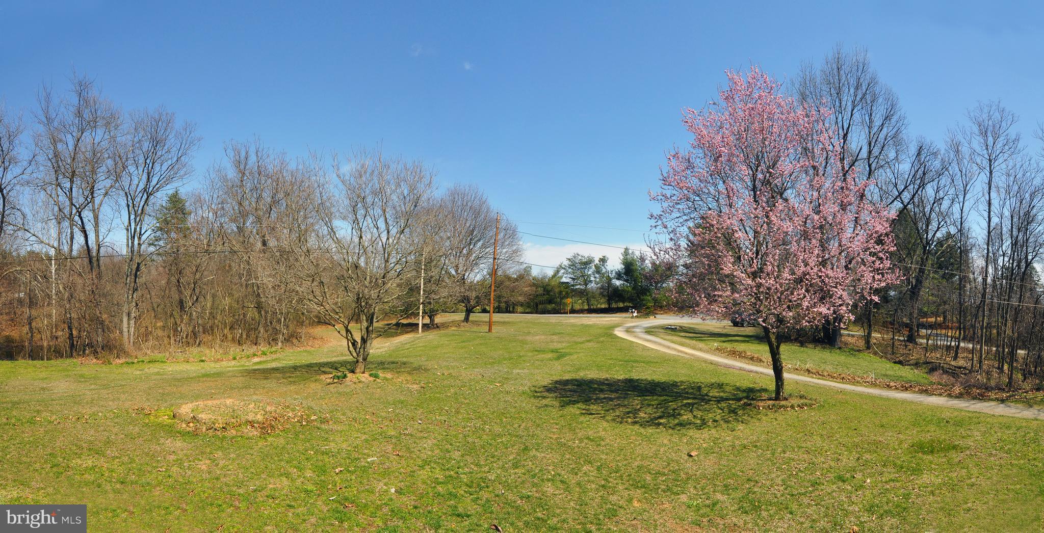 1879 Cedar Grove Road Winchester, VA 22603 - Photo 3 of 25 Front yard