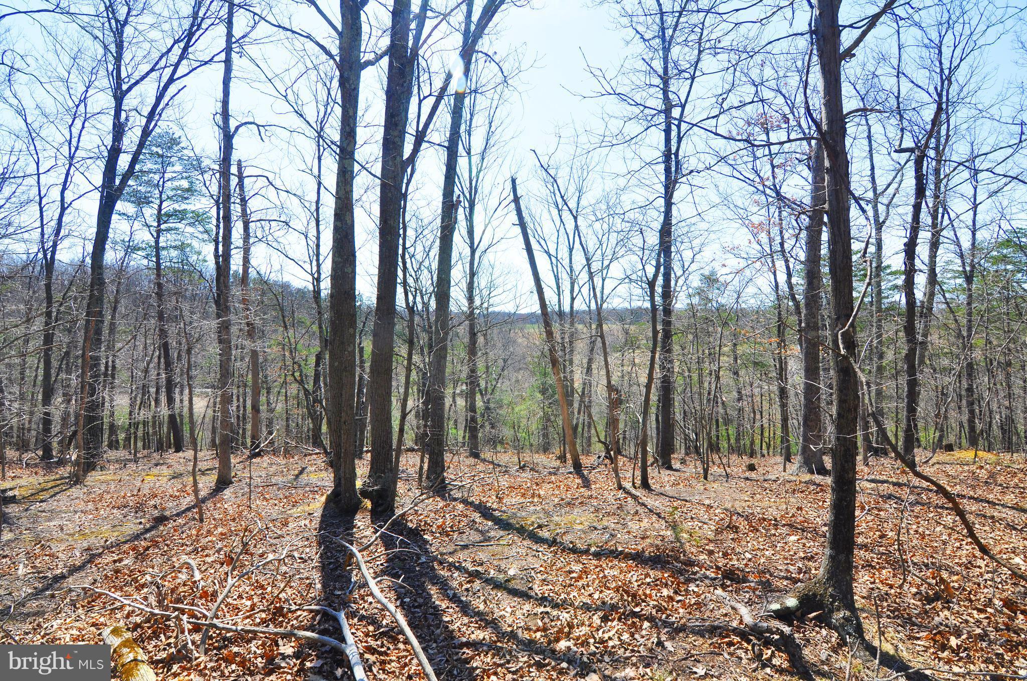 1879 Cedar Grove Road Winchester, VA 22603 - Photo 22 of 25 At rear of property