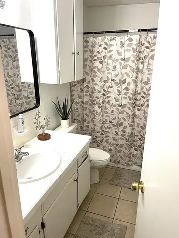 a bathroom with a sink toilet and mirror