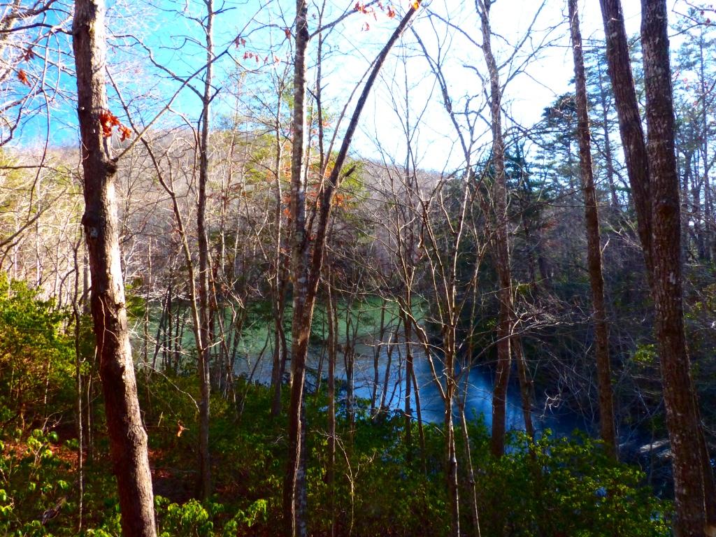 80 Fox Hollow Road Dunlap, TN 37327 - Photo 8 of 19 dunhouseview