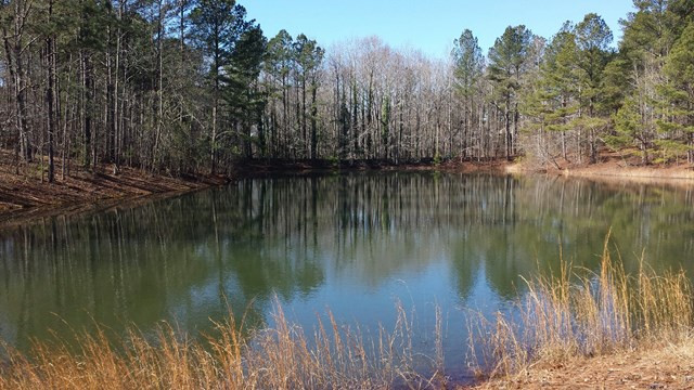 572 Parkside Drive Aiken, SC 29803 - Photo 2 of 2