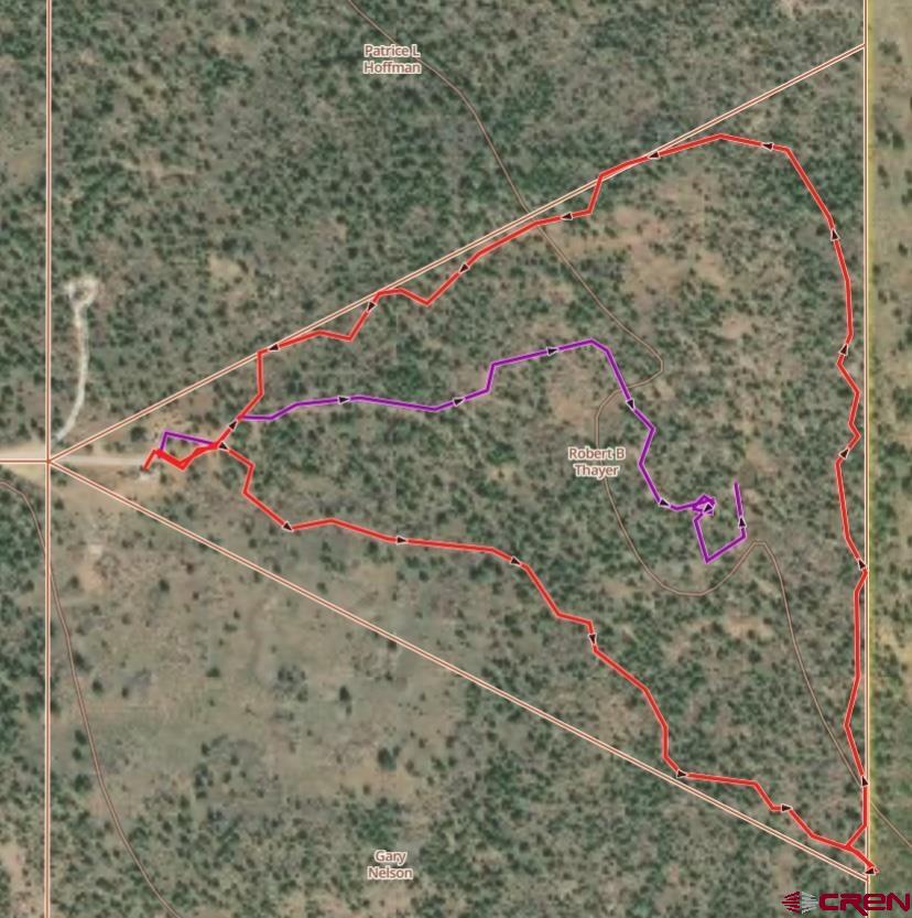 724 Blue Canyon Ranch Road Egnar, CO 81325 - Photo 42 of 45 Cleared trails