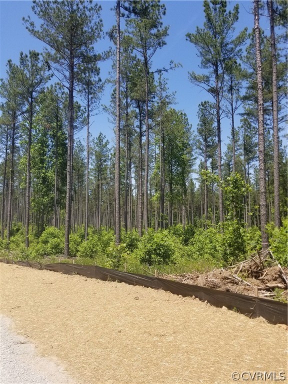 Lot 1 Pinhook Ridge Place Rockville, VA 23146 - Photo 2 of 7 Gallery Image 2