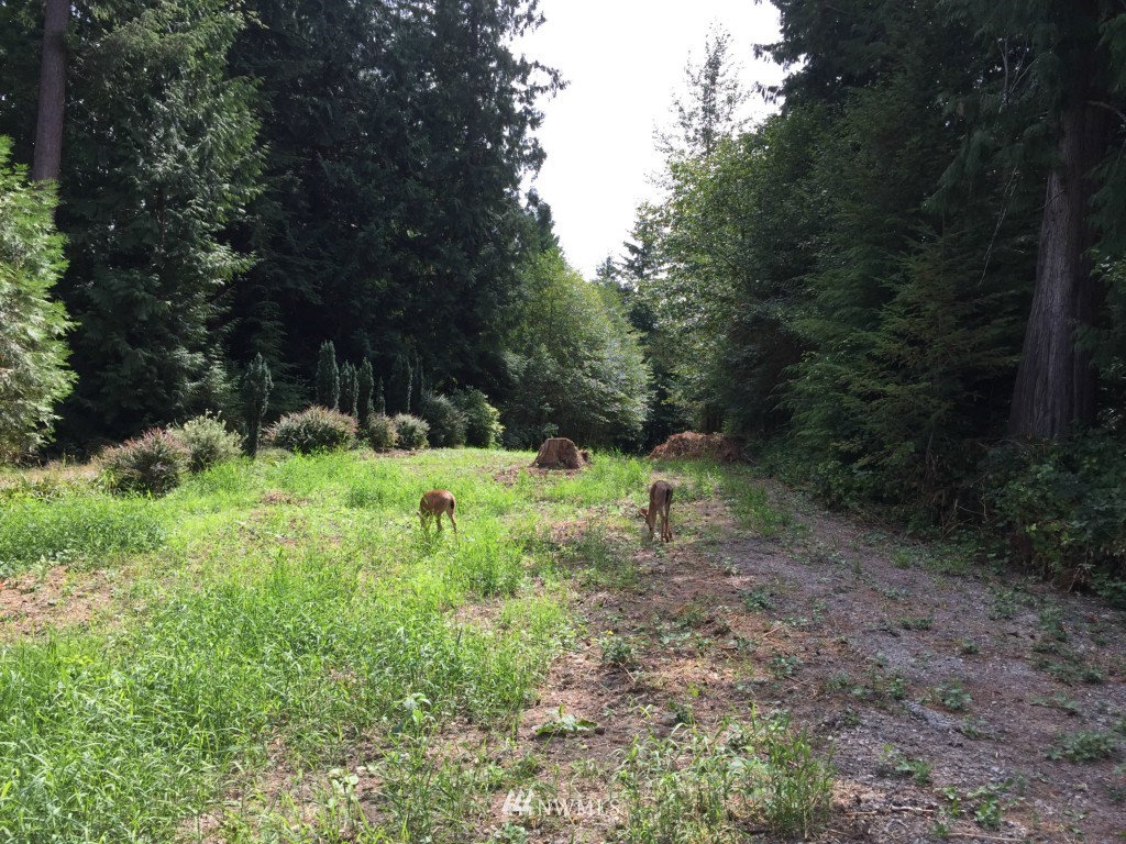 19-lot Thompson Road Sedro-Woolley, WA 98284 - Photo 10 of 10 Gallery Image 10
