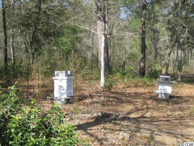 4224 Powell Road Georgetown, SC 29440 - Photo 24 of 34 Gallery Image 24