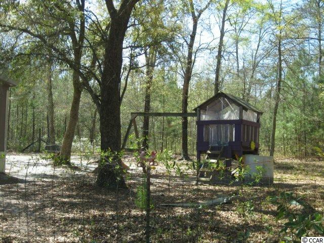 4224 Powell Road Georgetown, SC 29440 - Photo 25 of 34 Gallery Image 25