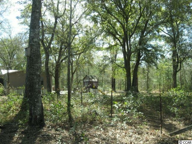 4224 Powell Road Georgetown, SC 29440 - Photo 26 of 34 Gallery Image 26