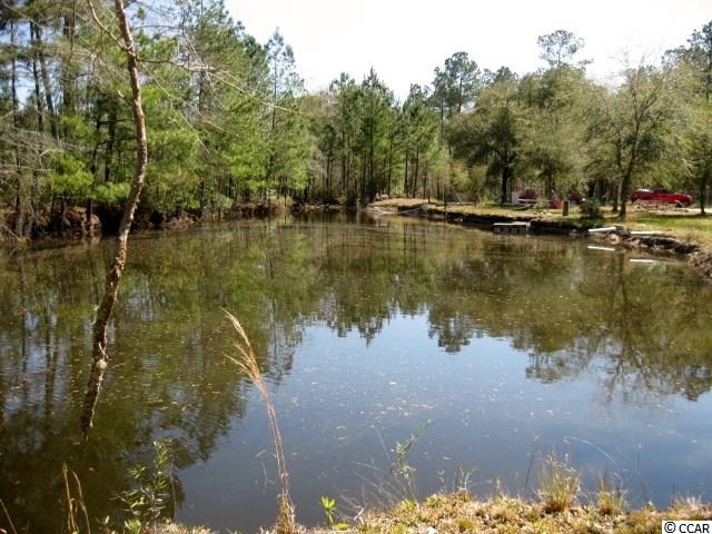 4224 Powell Road Georgetown, SC 29440 - Photo 27 of 34 Gallery Image 27
