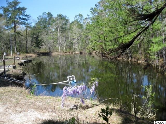 4224 Powell Road Georgetown, SC 29440 - Photo 30 of 34 Gallery Image 30