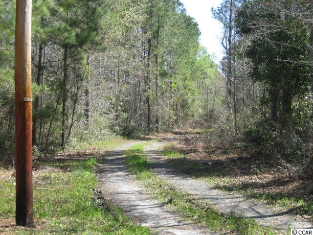4224 Powell Road Georgetown, SC 29440 - Photo 32 of 34 Gallery Image 32
