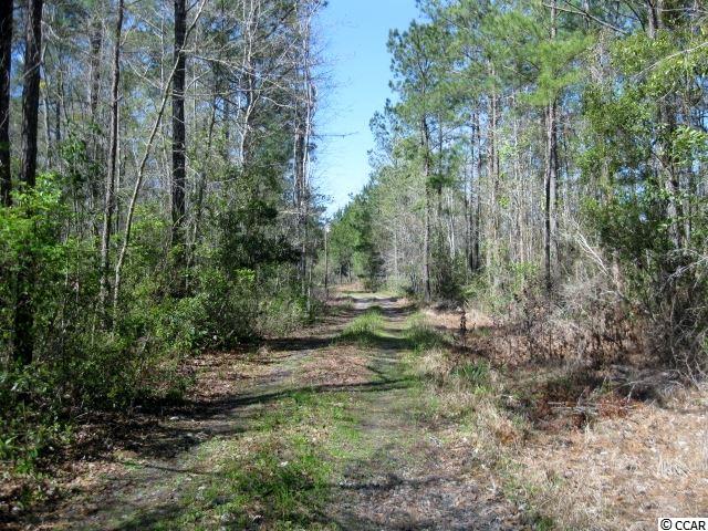 4224 Powell Road Georgetown, SC 29440 - Photo 33 of 34 Gallery Image 33