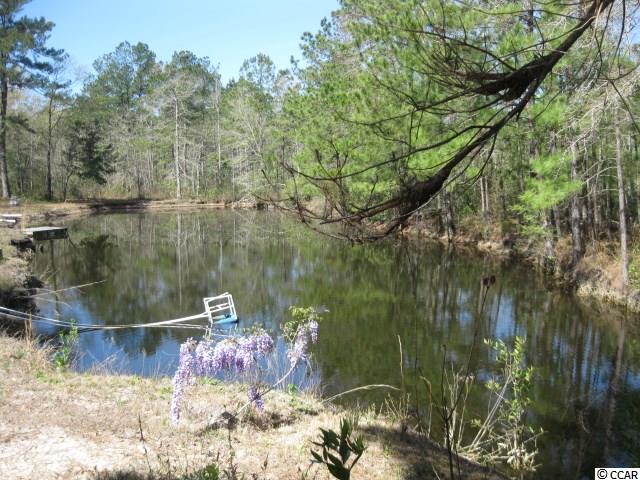 4224 Powell Road Georgetown, SC 29440 - Photo 34 of 34 Gallery Image 34