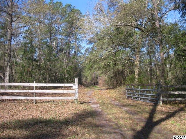 4224 Powell Road Georgetown, SC 29440 - Photo 6 of 34 Gallery Image 6