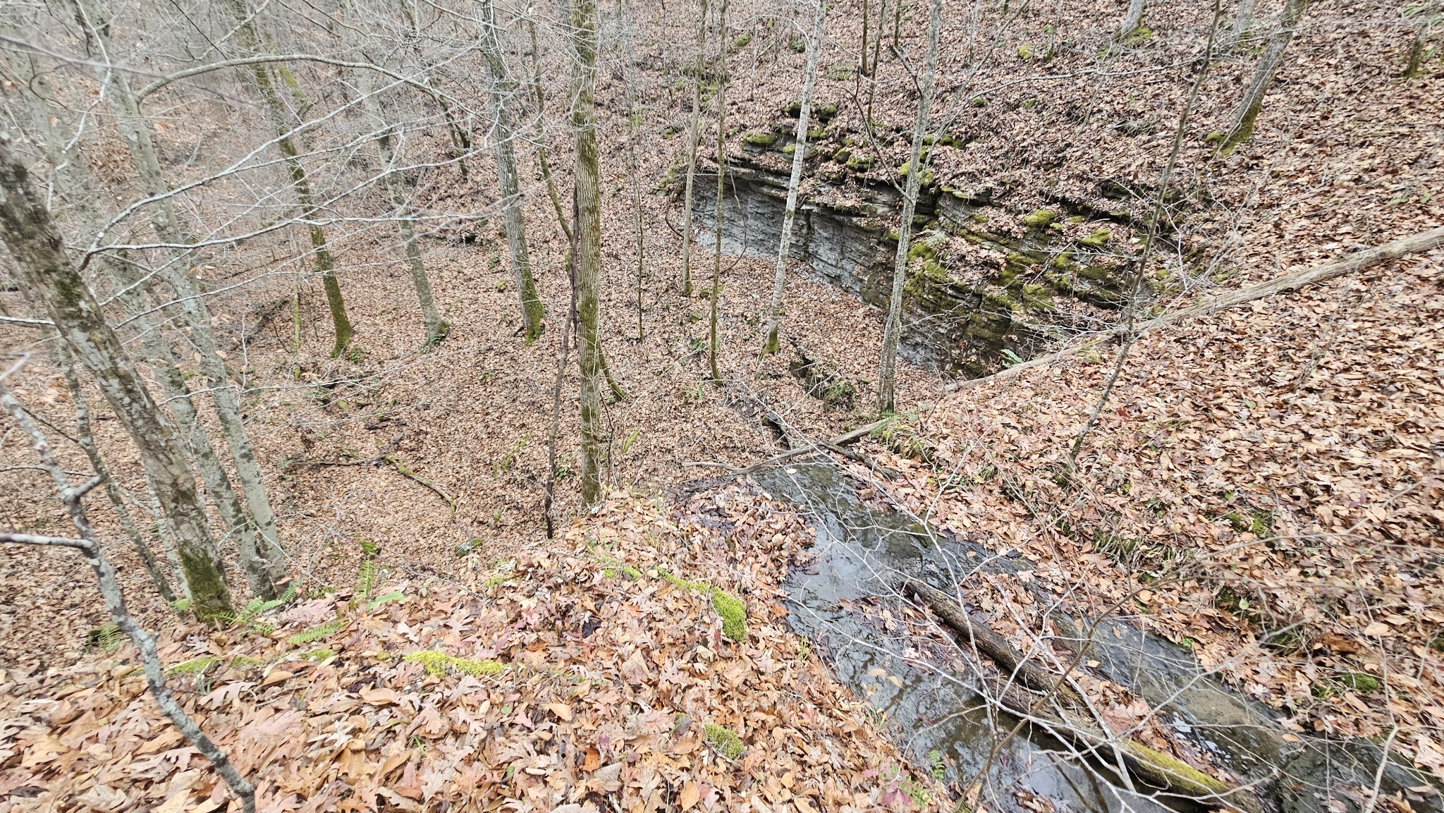 6004 Old Hohenwald Road Linden, TN 37096 - Photo 16 of 39 Gallery Image 16