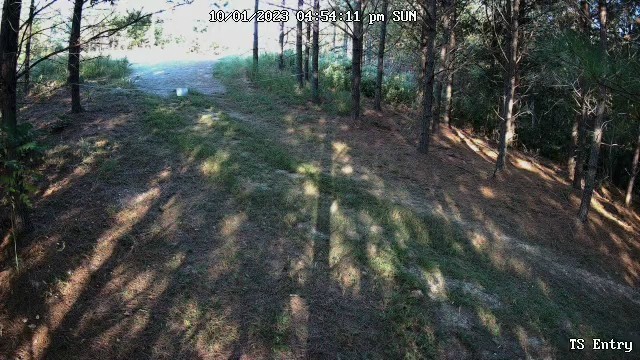 6004 Old Hohenwald Road Linden, TN 37096 - Photo 4 of 39 Gallery Image 4