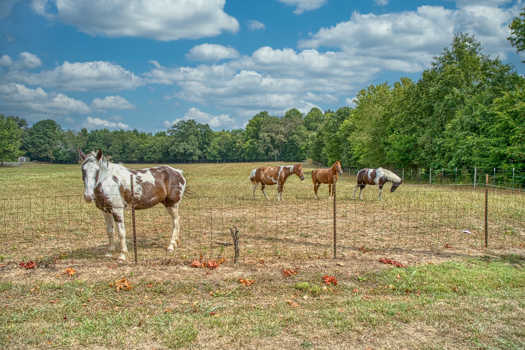 710 Blue Springs Road Smithville, TN 37166 - Photo 26 of 27 Gallery Image 26