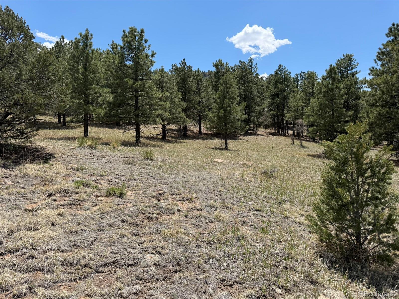 477 Bear Peak Road Westcliffe, CO 81252 - Photo 36 of 39