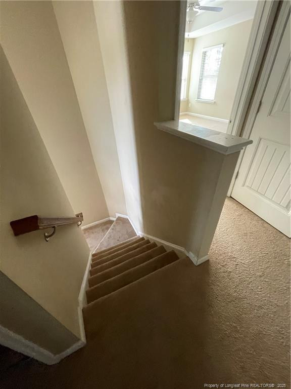 261 River Oaks St Spring Lake Spring Lake, NC 28390 - Photo 17 of 38 a view of walk in closet with window