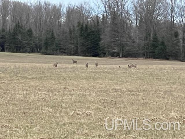 29960 Co Road Cornell, MI 49818 - Photo 27 of 27
