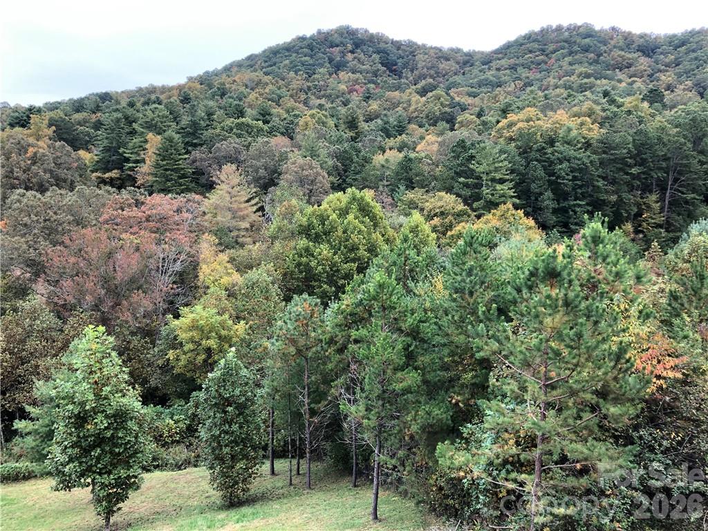 836 Burney Mountain Road Fletcher, NC 28732 - Photo 23 of 37