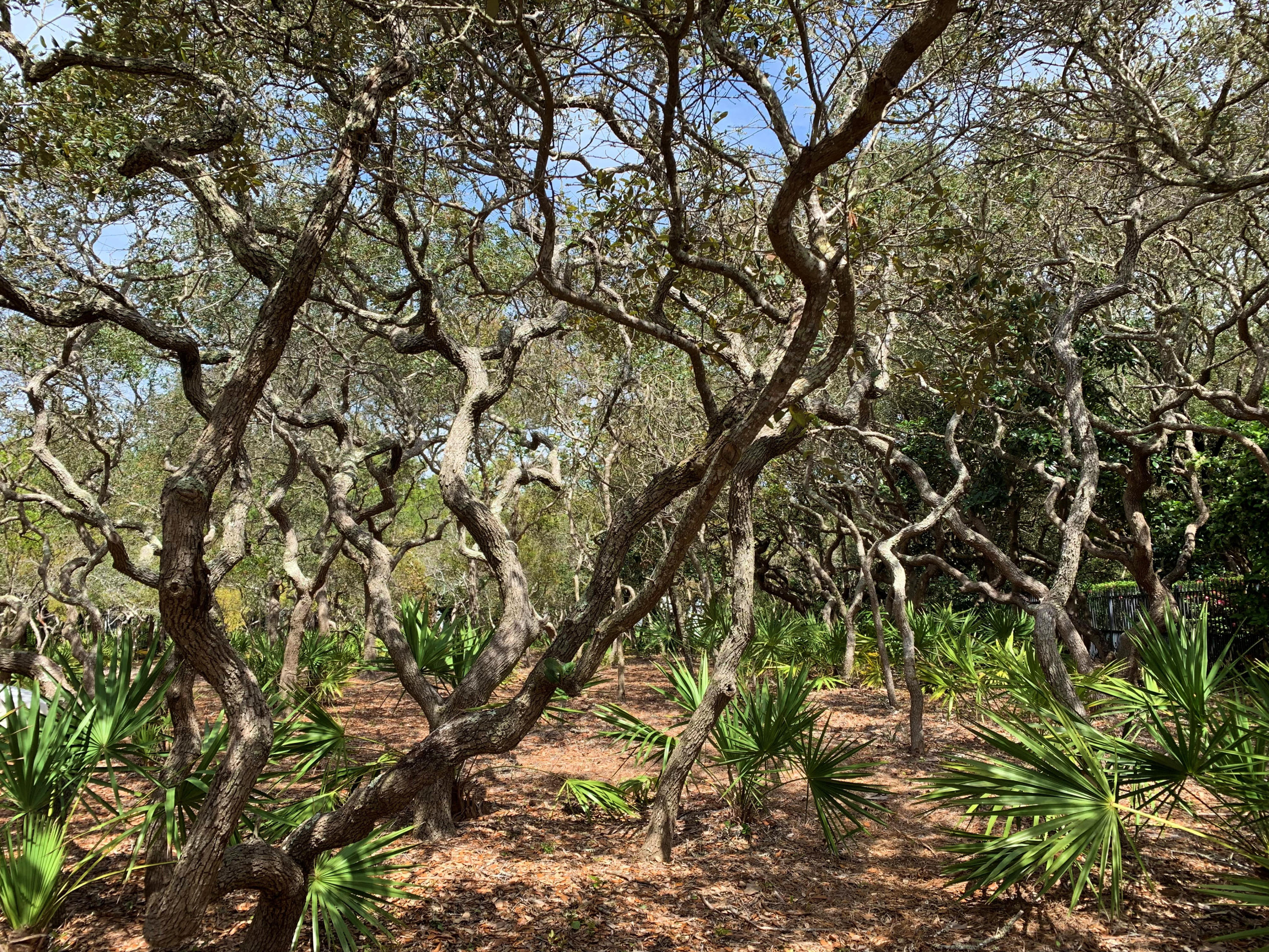 Lot 7 Redfish Lane Santa Rosa Beach, FL 32459 - Photo 11 of 12 3 EDIT
