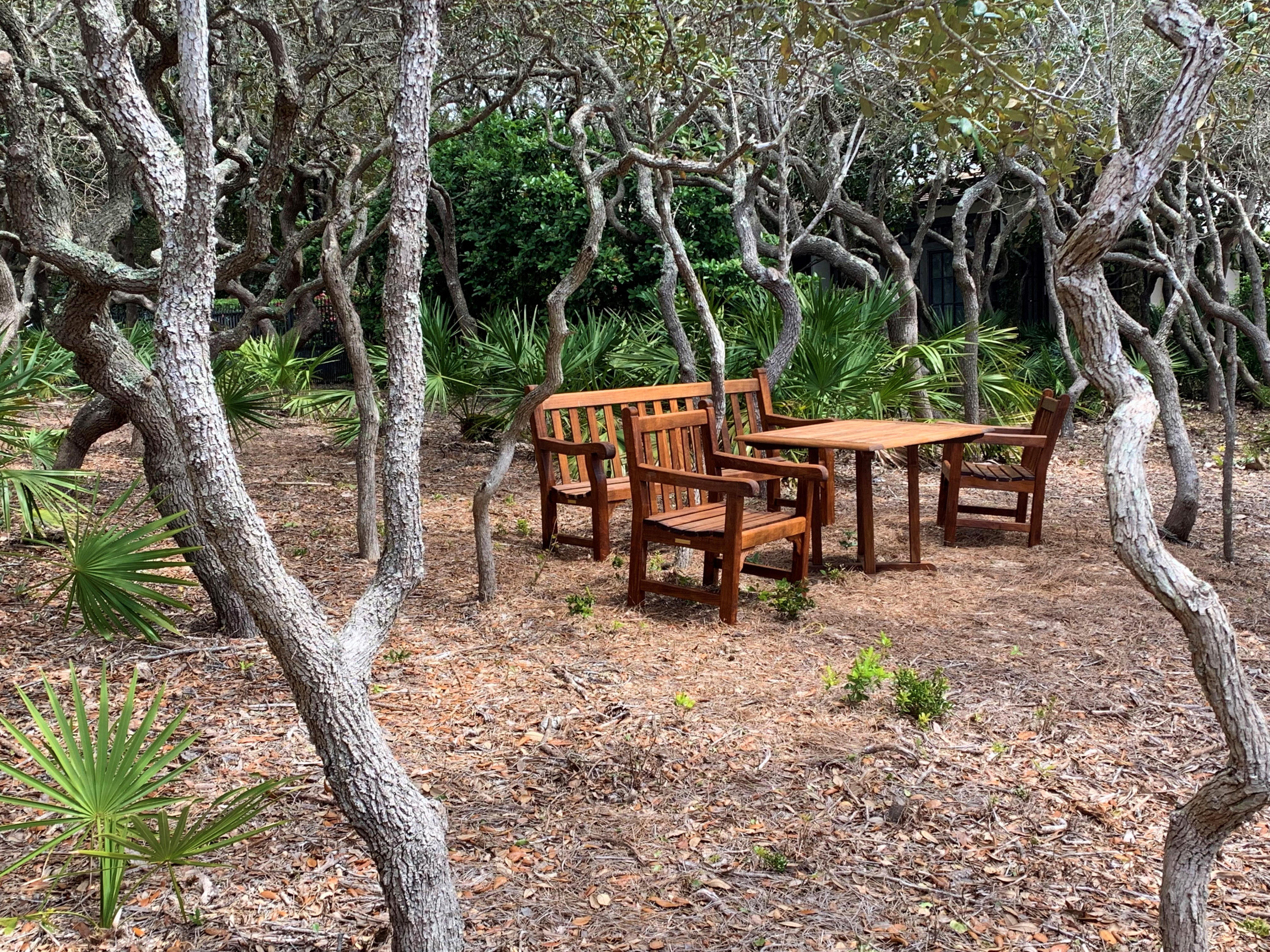 Lot 7 Redfish Lane Santa Rosa Beach, FL 32459 - Photo 10 of 12 2 EDIT