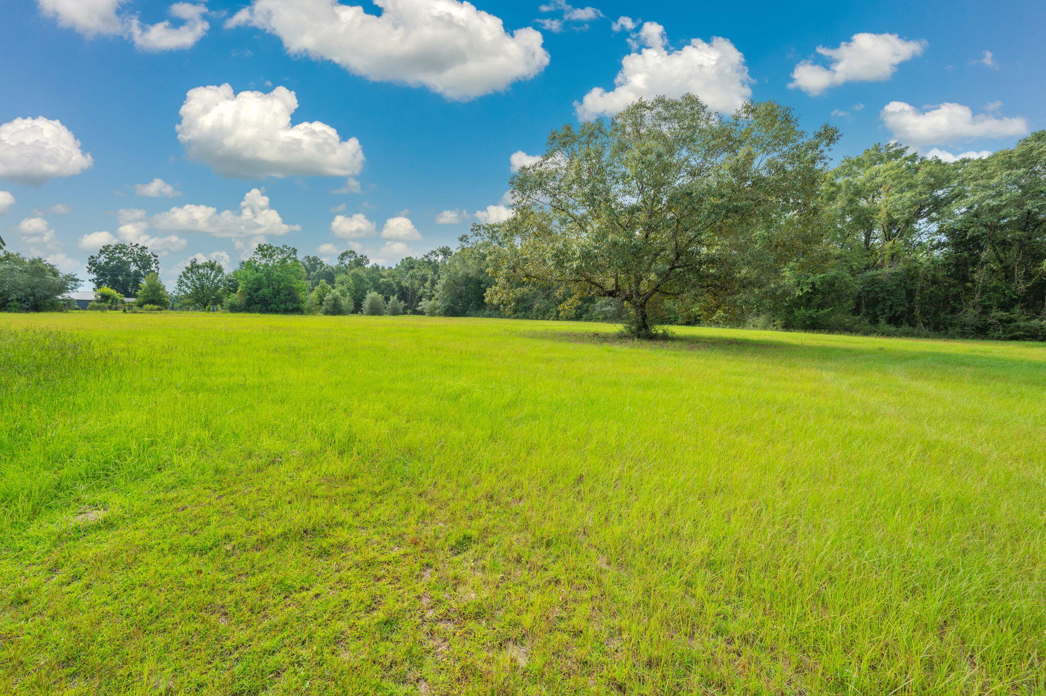 10406 Double R Ranch Road Holt, FL 32564 - Photo 4 of 33 1000058011