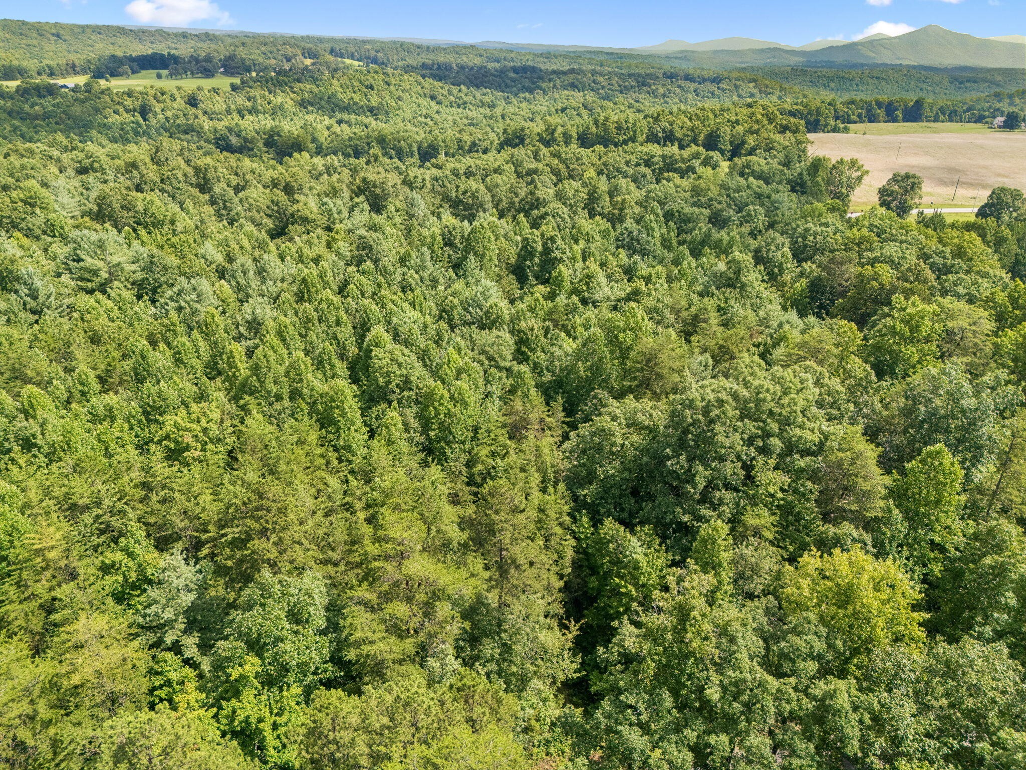 0 Ridge Road Lancing, TN 37770 - Photo 17 of 18