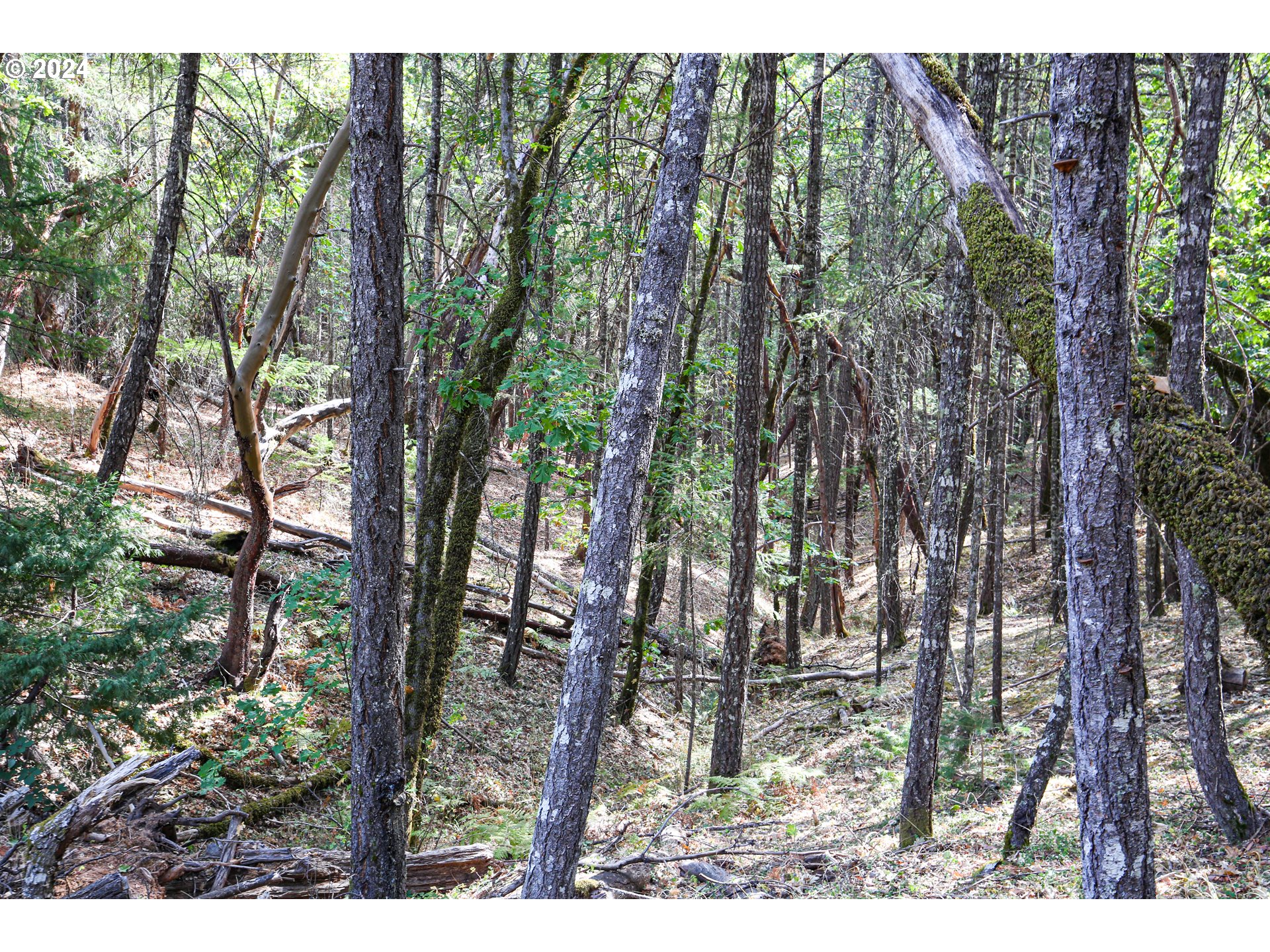 Quartz Creek Road Merlin, OR 97532 - Photo 3 of 19
