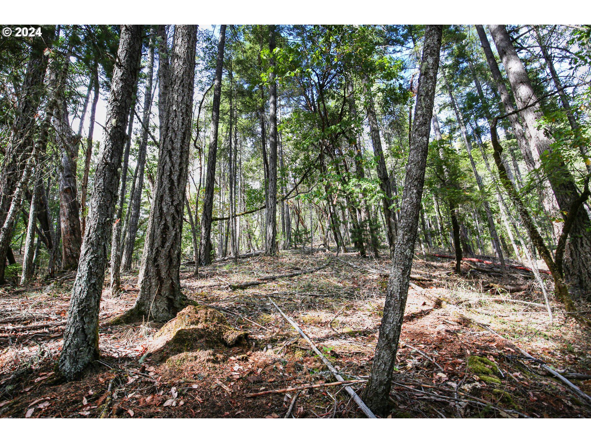 Quartz Creek Road Merlin, OR 97532 - Photo 4 of 19